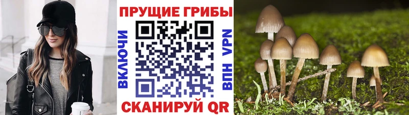 Галлюциногенные грибы мицелий Байкальск