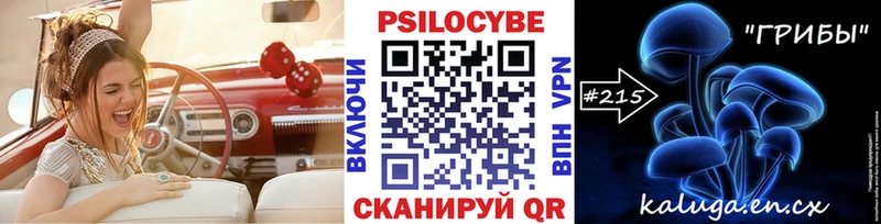 Галлюциногенные грибы Cubensis  Байкальск 